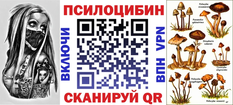 Псилоцибиновые грибы Cubensis  Тейково 
